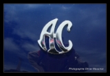 AC Cobra Pilgrim-3